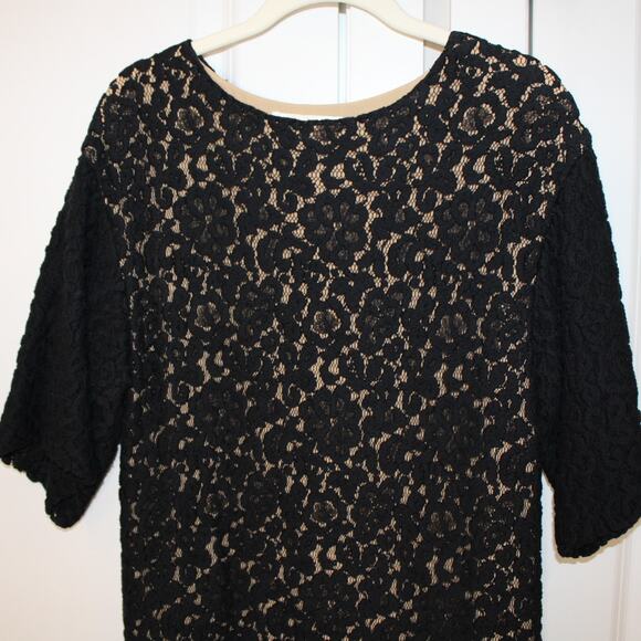 CHLOE Black Lace Flutter Sleeve Mini Shift Dress | EU 34 - US 2 - Picture 4 of 10